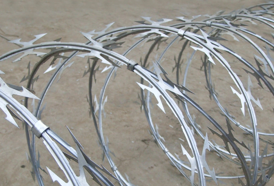 Concertina Wire Fencing in Gujarat